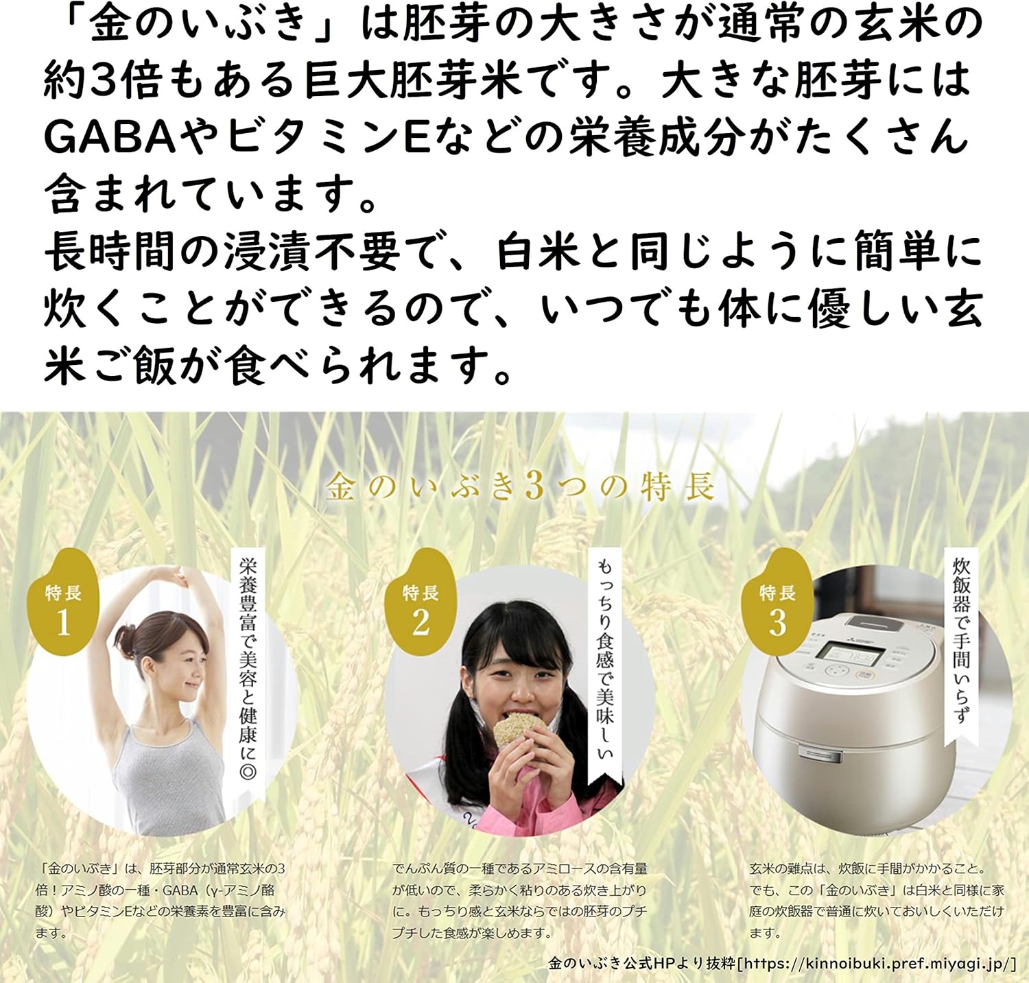 たえ様　専用 Ybunni様】docomo SH-01E 中古 起動確認済 S-639（ムスビー